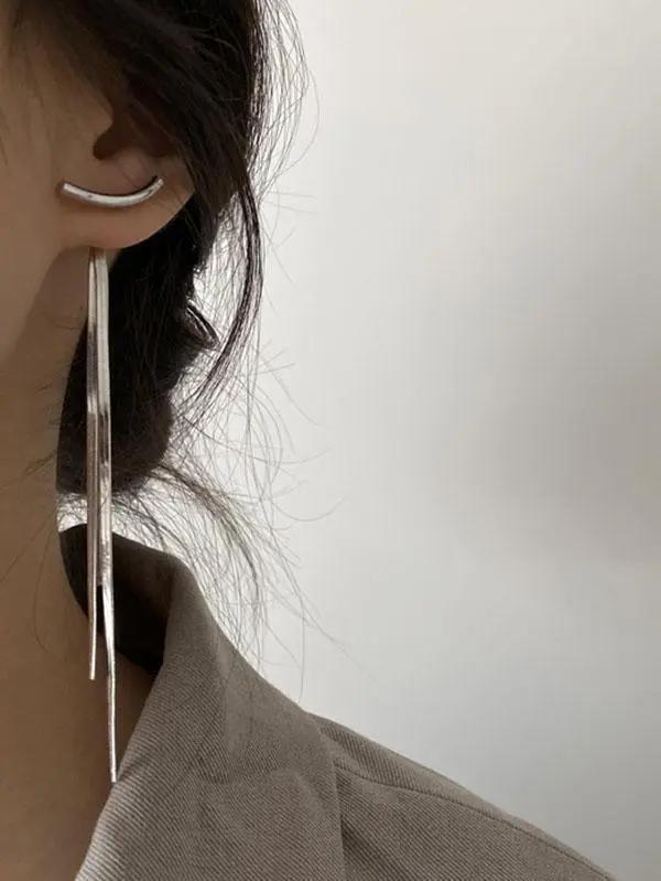 Original Solid Tasseled Shiny Eardrop Plush Fashion Hub